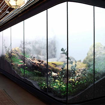 Immersive Display