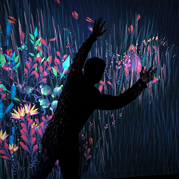 Interactive Wall Projection