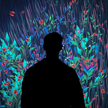 Interactive Wall Projection